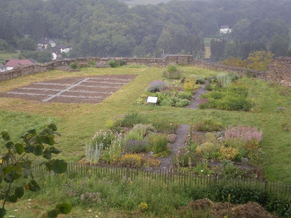 Das neu angelegt Beet im Juli 2011 (Foto: A. Stucken)