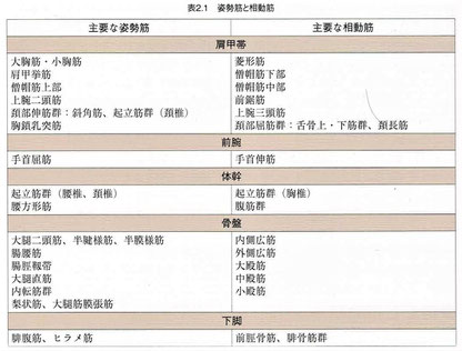 姿勢筋と相動筋