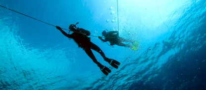 Photo of Divers descending a line during PADI deep specialty course in Nusa Penida