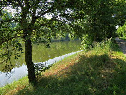 Der Neckar bei Aldingen