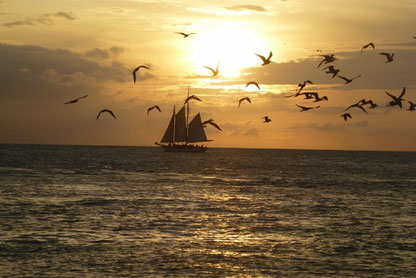 Bild: Sunset in Key West Mallory Square