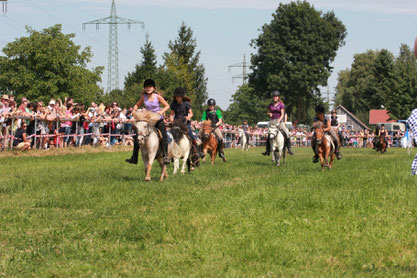 Zum Ponyrennen 2012 stellten sich 12 junge Reiterinnen und Reiter auf ihren Shettys der Herausforderung und kämpften um den Sieg. Die Lokalmatadorin "Nelly" (Nr. 8) konnte das Rennen mit ihrer Reiteri