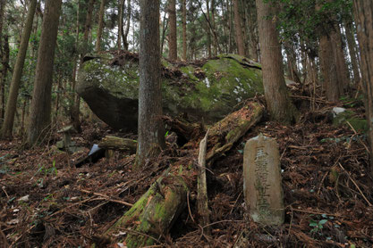 「化け石」の近くにある馬頭観世音碑の画像。