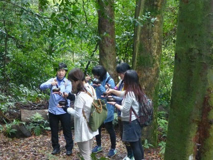自然の中でシンギングボウルを奏でる