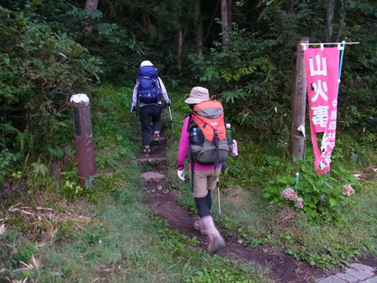 登山口から、いきなり、ずっと急登です。