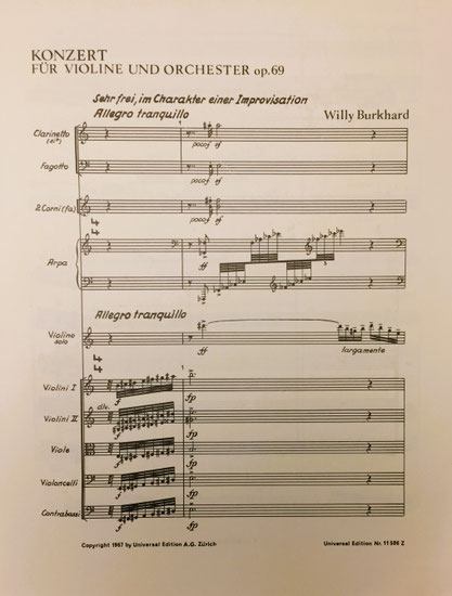The beginning of the concert