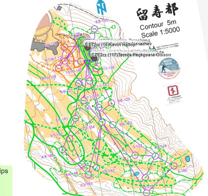 スキーOの地図（スプリントリレー競技。上部にある緑の網掛け部分が会場。コースは最後にこの周囲を回り、観客は最後の接戦を見ることができる。