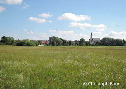 Trasse der geplanten Straße bei Mantel