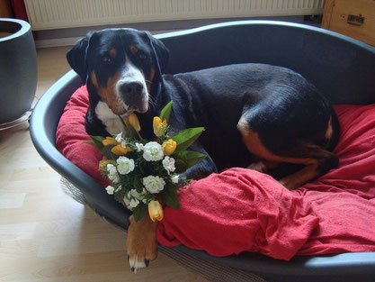 sag's mit Blumen