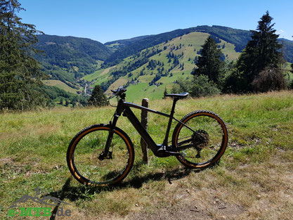 Das Focus Jarifa² im Schwarzwald