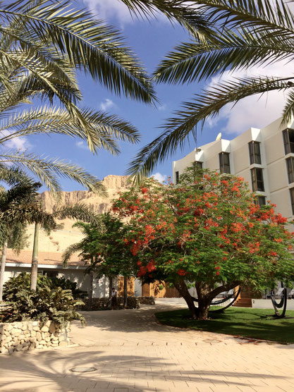 Innenhof, Hotel Oasis