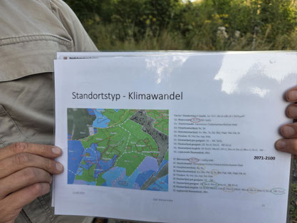 Foto: Frank Ebendorff