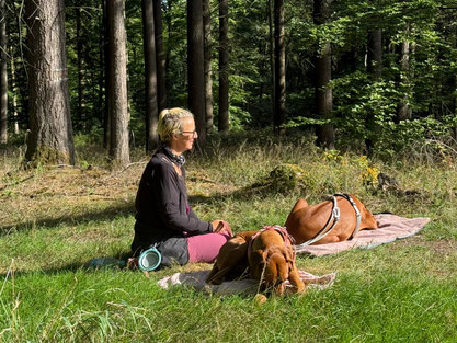 Junghundekurs, Hundetraining, Hundeschule, Butzbach, World of Dogs