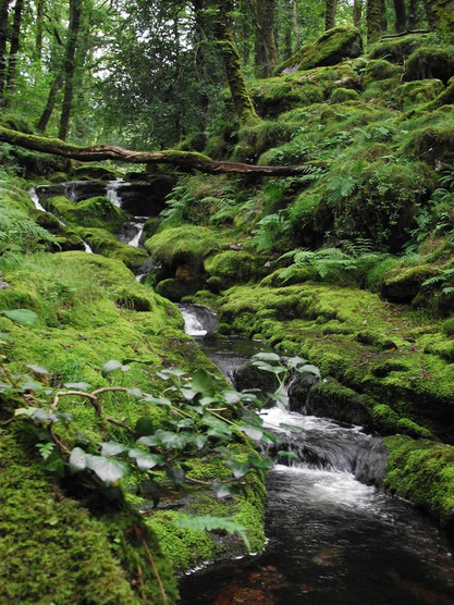 Dartmoor, Devon, England