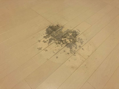 熊本市　床中央にソファーの密着汚れのリペア前画像
