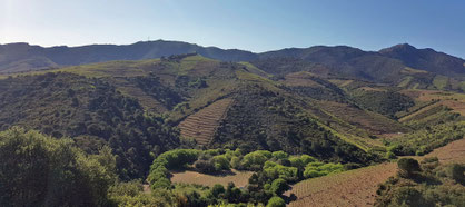 Rando Plaisir de Randos Canétoises au départ de Calce, la boucle et le mas de Las Font 