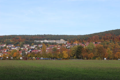 Blick vom Wiesenweg entlang der Saale auf Bad Bocklet.