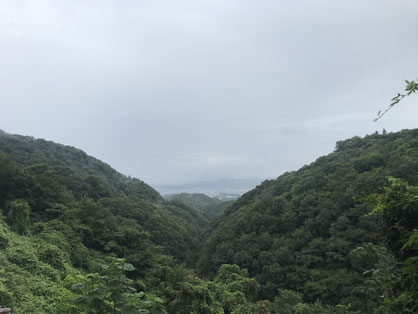 2019年８月6日　福山市賀茂町　朝　写真