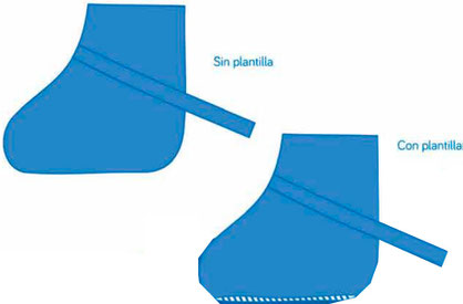 Bota