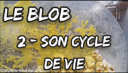 bien en classe élève ton blob ressources pédagogiques mission alpha thomas pesquet ISS cycle2 cycle3 cycle4 lycée jeu clicker game