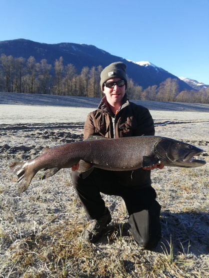 Gerald Krieber hat diesen Huchen (103cm /9,9kg) im Lauenbach am 27. 12. an Land gezogen.