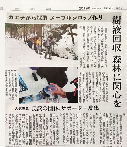 ●1/5中日新聞にメープルシロップの取り組みが掲載されました。