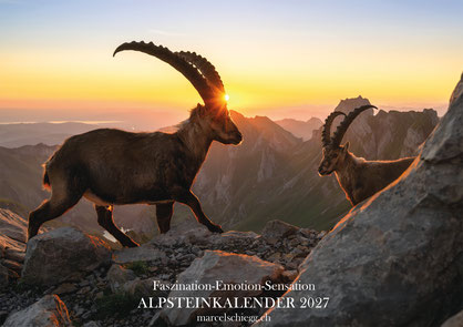 Marcel Schiegg, Alpsteinkalender, Bildkalender Alpstein, Alpstein Kalender, Bilder Alpstein