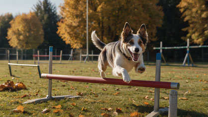 Hundeschule Zossen - Welpenkurs