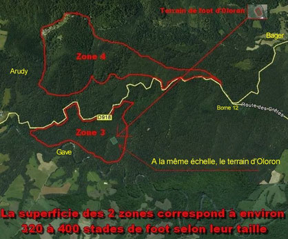 191 ha de forêt détruites par des carrières à Oloron Sainte Marie