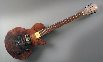 Spaltking guitars sales