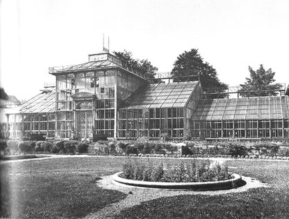 Abb. 3: Das Gewächshaus im Alten Botanischen Garten, auch "Palmenhaus" oder "Orangerie" genannt, 1960er Jahre.***