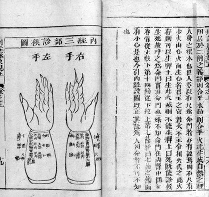 Illustration aus der traditionellen chinesischen Medizin, die später auch von Gottlieb Olpp reproduziert wurde. Bild: Wellcome Images, CC0.*