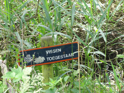 Derrieput: inmiddels helemaal overwoekerd met het bordje "vissen 'niet' toegestaan".