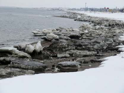 砂浜に打ち上げられた流氷。