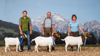 Burenziegenzucht Wimmerfarm