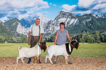 Burenziegenzucht Wimmerfarm