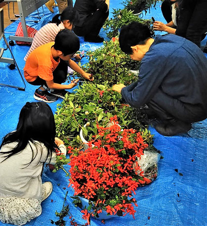 摘んできたお花から選ぶ・・