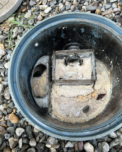 かほく市の汚水桝に残った汚泥の様子