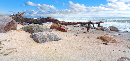 Strand mit großen Findlingen, Baumstamm, Wellen und Ostsee unter blauem Himmel