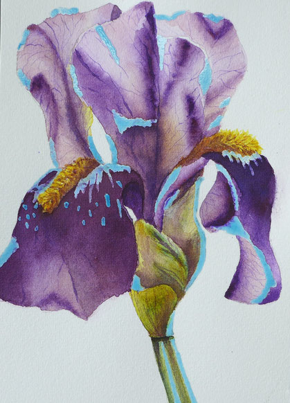Ein Jahr mit Blumen - Iris malen - DIY-Projekt