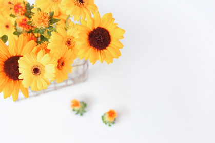 籠に飾られた黄色の花たち。ひまわり。ガーベラ。ベニバナ。