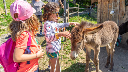 ferme savoie 