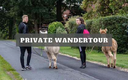 Private Alpaka Wanderung für besondere Momente