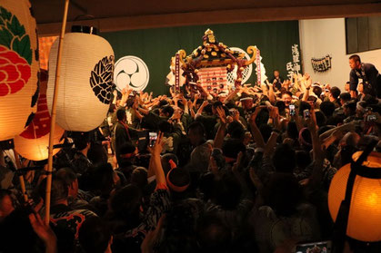 <三社祭> snj19_065 ©️YASUさん