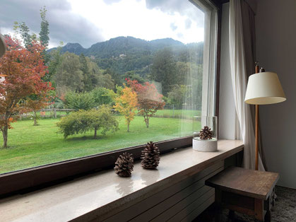 Aussicht auf die Berge Kaminzimmer Chalet Bad Ragaz