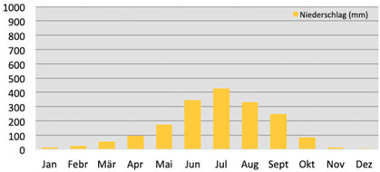 Klimadiagramm durchschnittliche Niederschläge in Paro in Bhutan