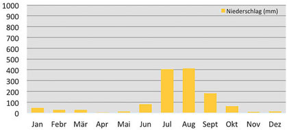 Klimadiagramm - Niederschläge in Rishikesh im indischen Himalaya