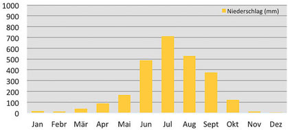Klimadiagramm - Niederschläge Darjeeling