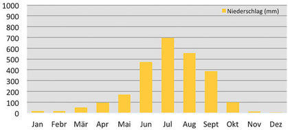 Klimadiagramm - Niederschläge in Gangtok in Sikkim