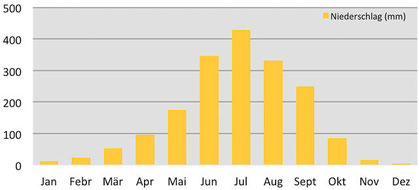 Klimadiagramm Niederschläge in Paro, Bhutan